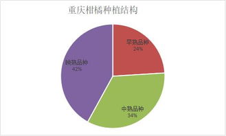 柑橘市場調研 重慶柑橘的輝煌歷史、效益困境與崛起之路