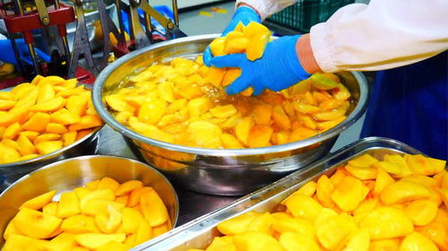 探秘月產(chǎn)三萬瓶的巨型水果罐頭工廠 手工制作背后的壯麗樂章