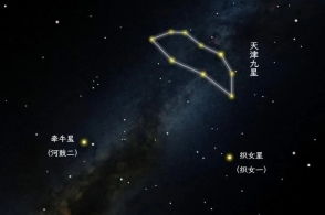 網(wǎng)際星辰 陸柒與他的數(shù)字宇宙漫游